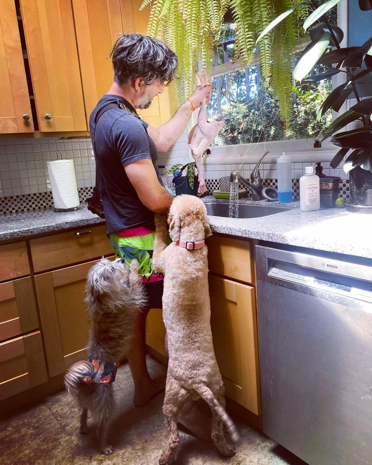 Home Cookin Attempt. 🐓🐶 #qurut #LOUSxWEE @weewalkssf