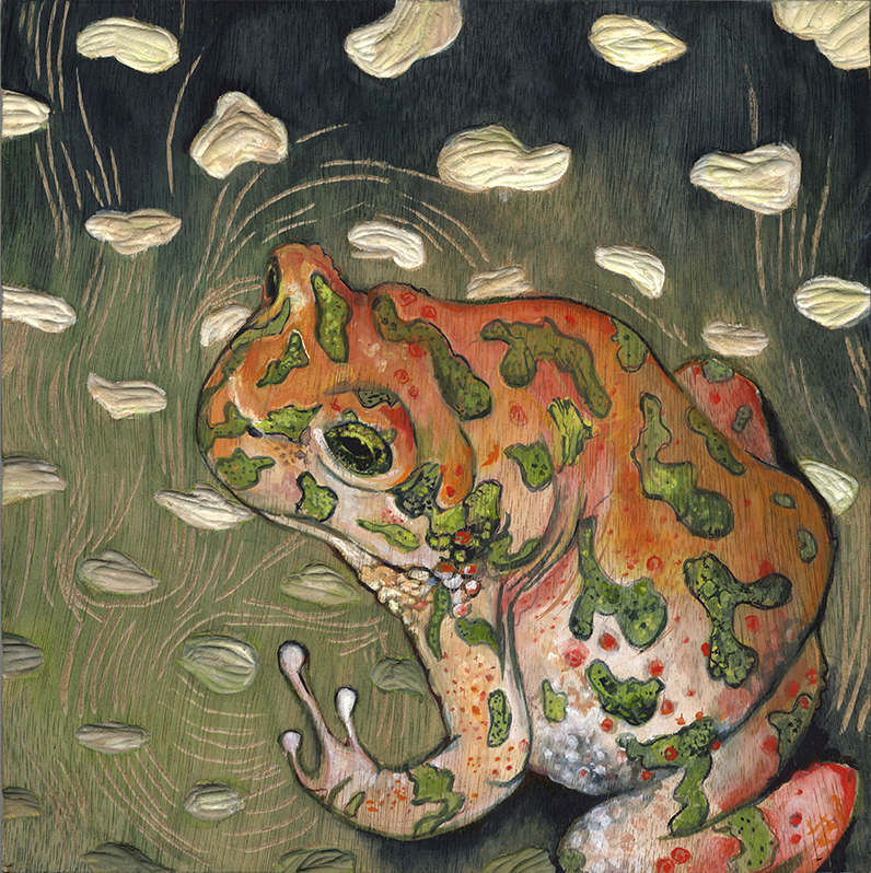 Toad #42