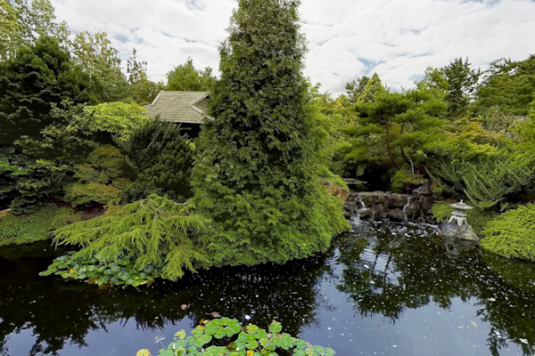 Japanese Pool - Hobart Botanic Gardens