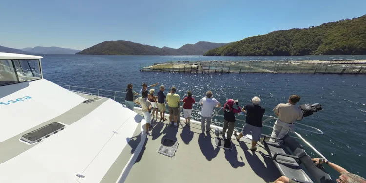 Viewing the Fish Farm