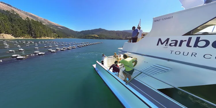 Learning about&nbsp;Mussel farming