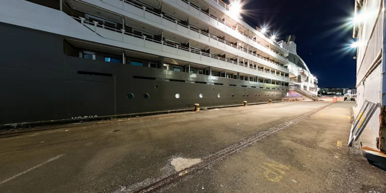 Wellington Docks at Night