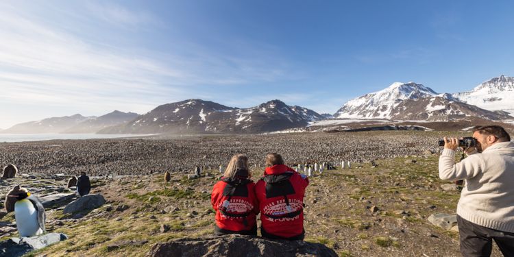 Passengers  overlooking the King Penguin Rookery