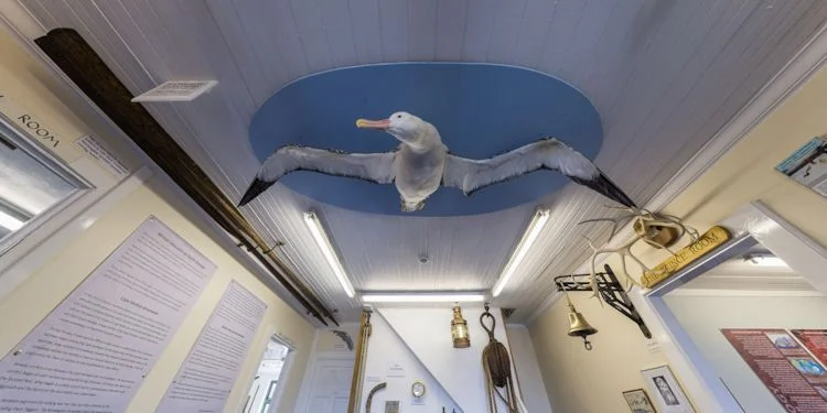 Gryfviken Museum Entrance - Albatros