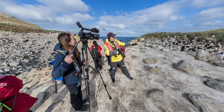 Rookeries all around