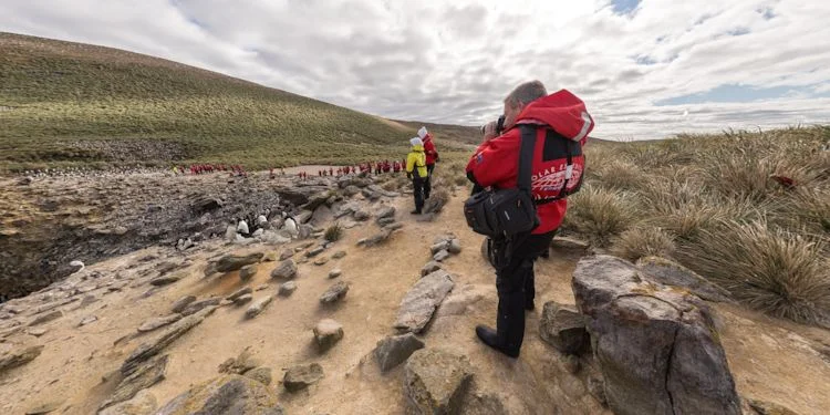 Passengers at the Cliff Top Rookeries