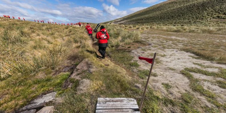 Walking to the Rookery