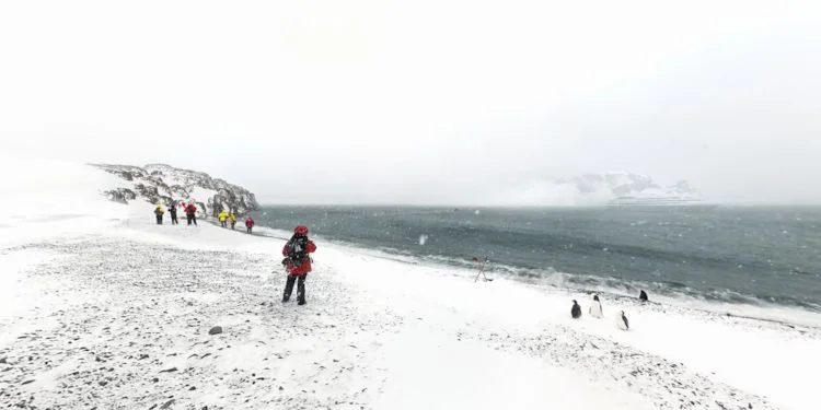 Snowy landing on Half Moon