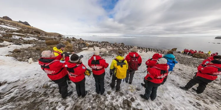 Overlooking the large rookery