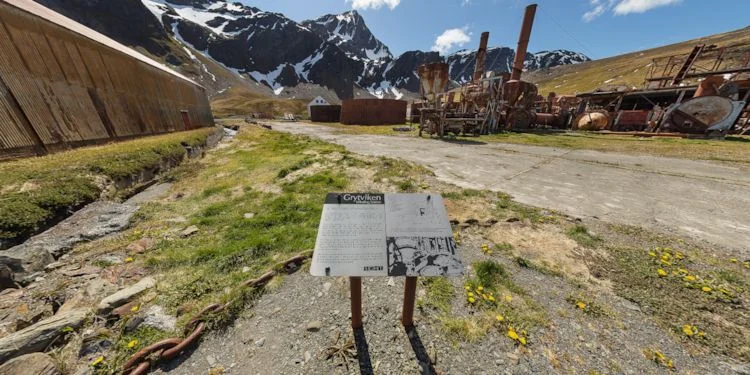 Whaling station meal factory