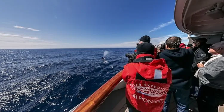 Whale watching near Clarence Island