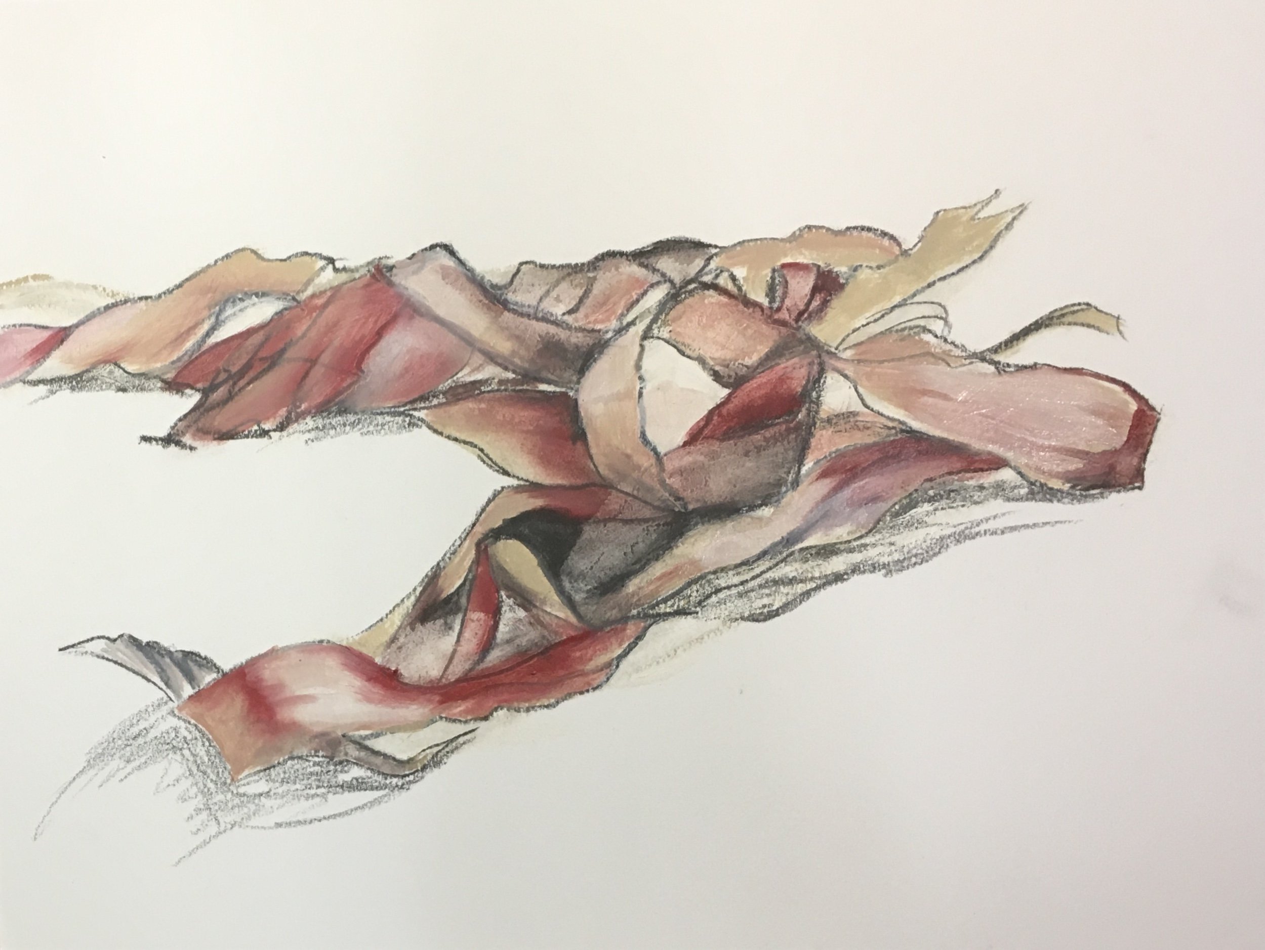 Seaweed Study 2