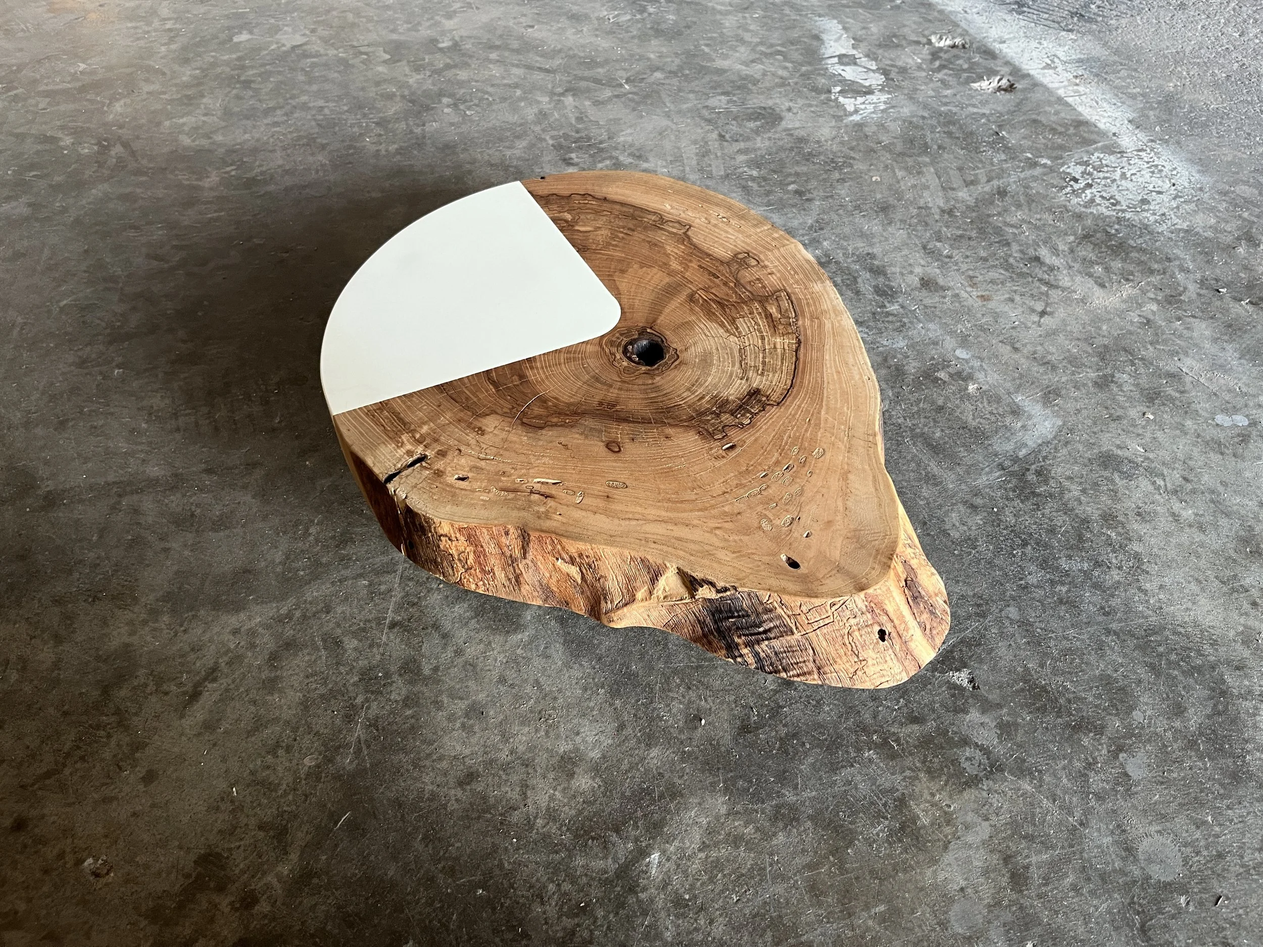 Elm2_002.JPG