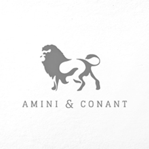 clientlogosforweb_amini+conant.png