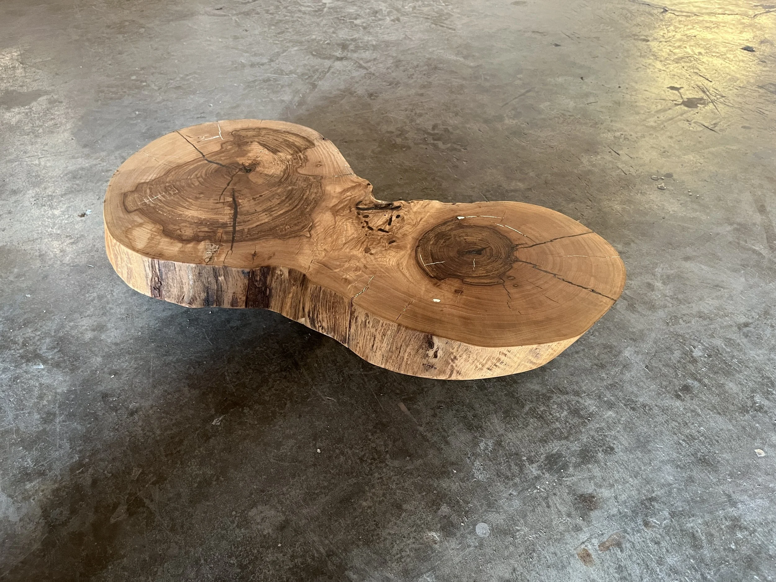 Elm1_002.JPG