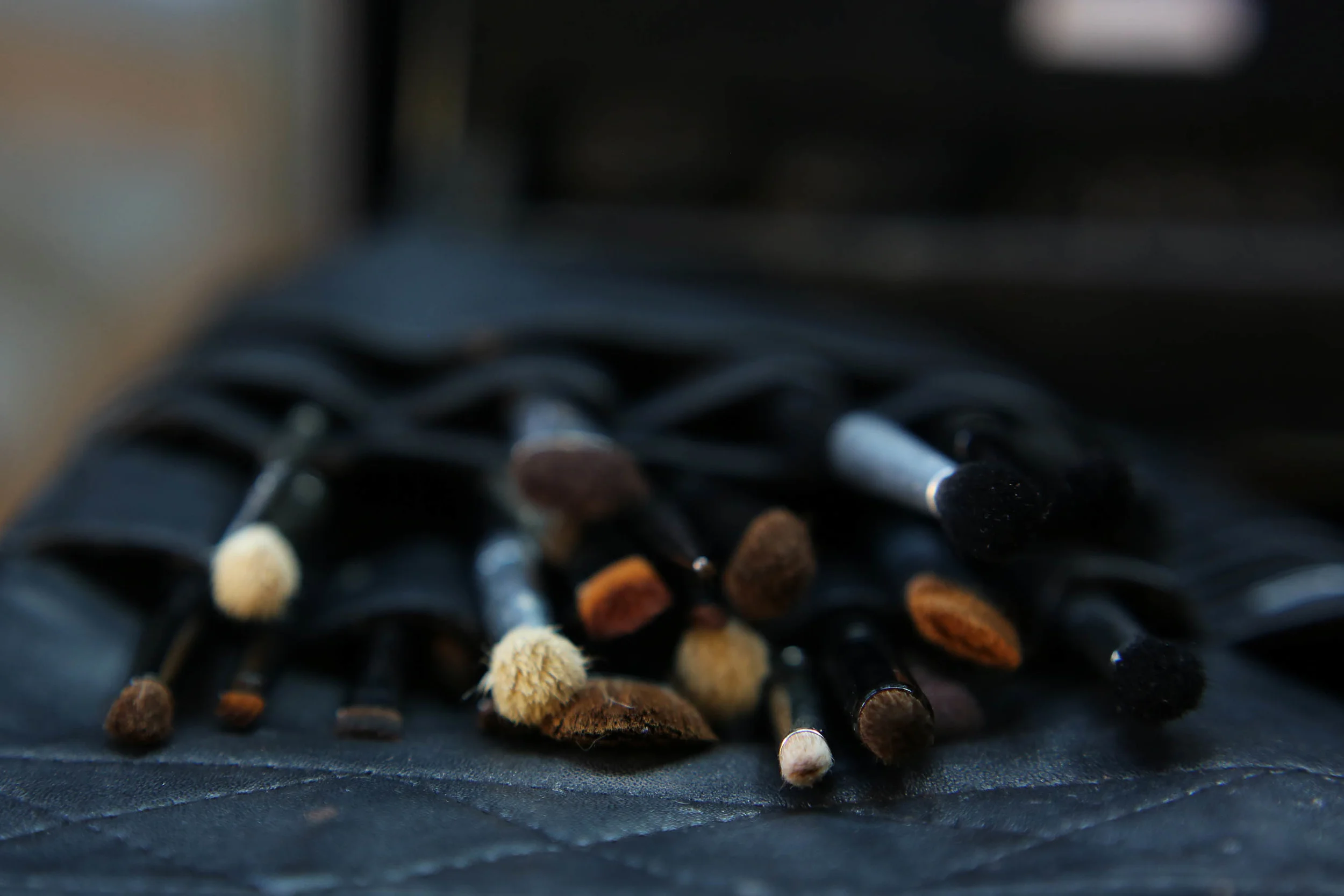 nothing will get between a girl and her brushes. total kit envy here.