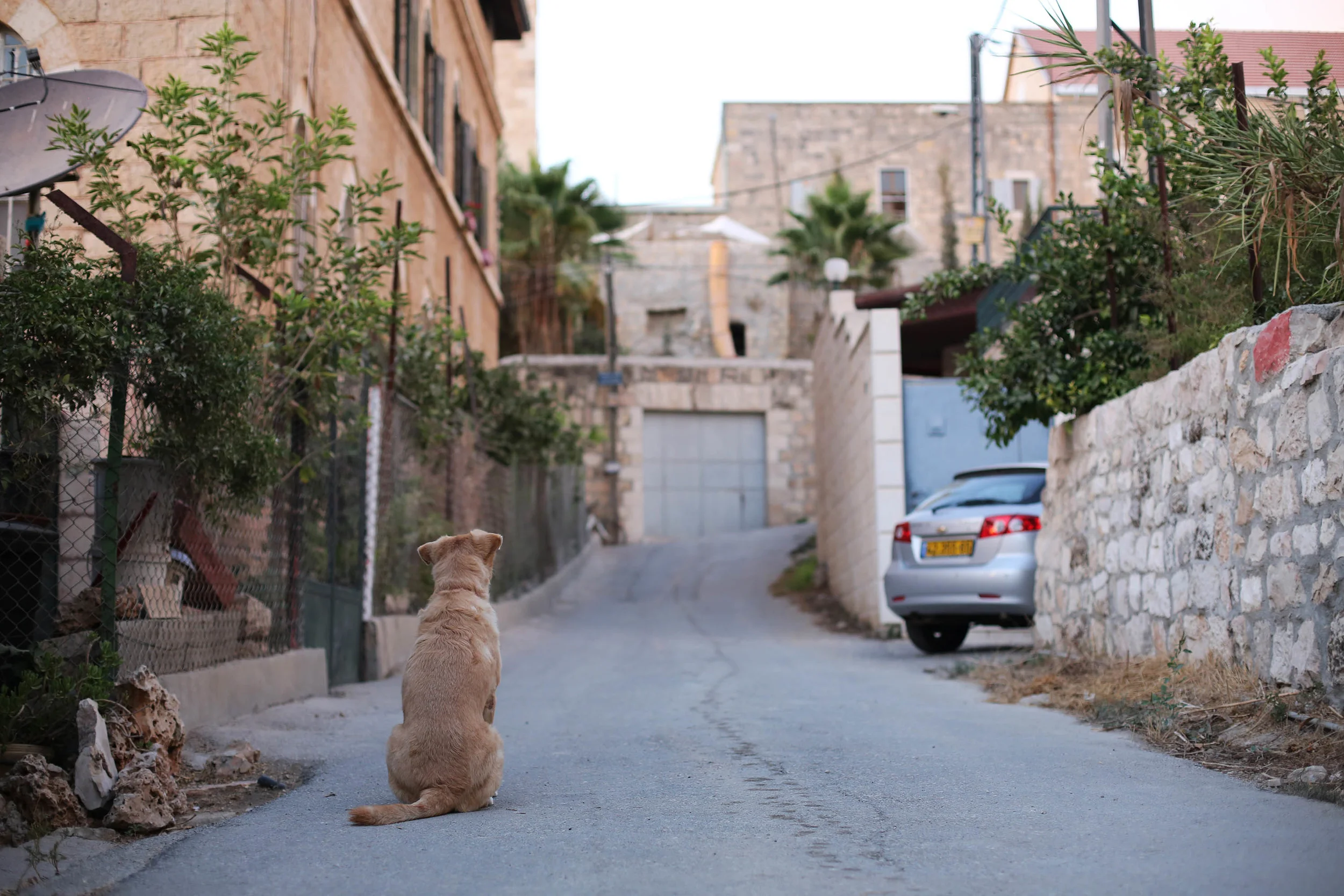 A tense guardian stands his post. Israeli security my friends!