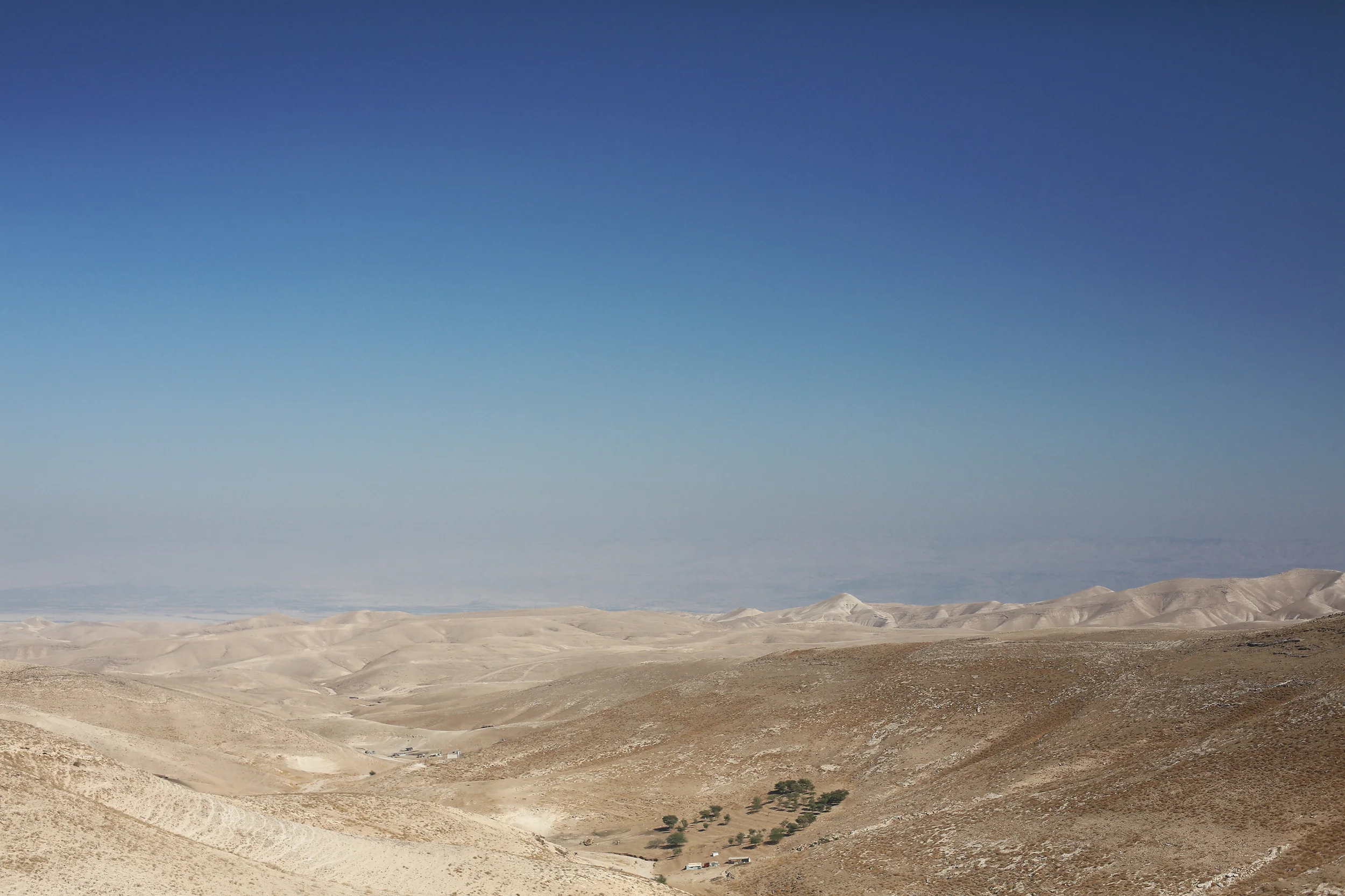 The desert. I've never really seen anything quite like this. It was surreal.