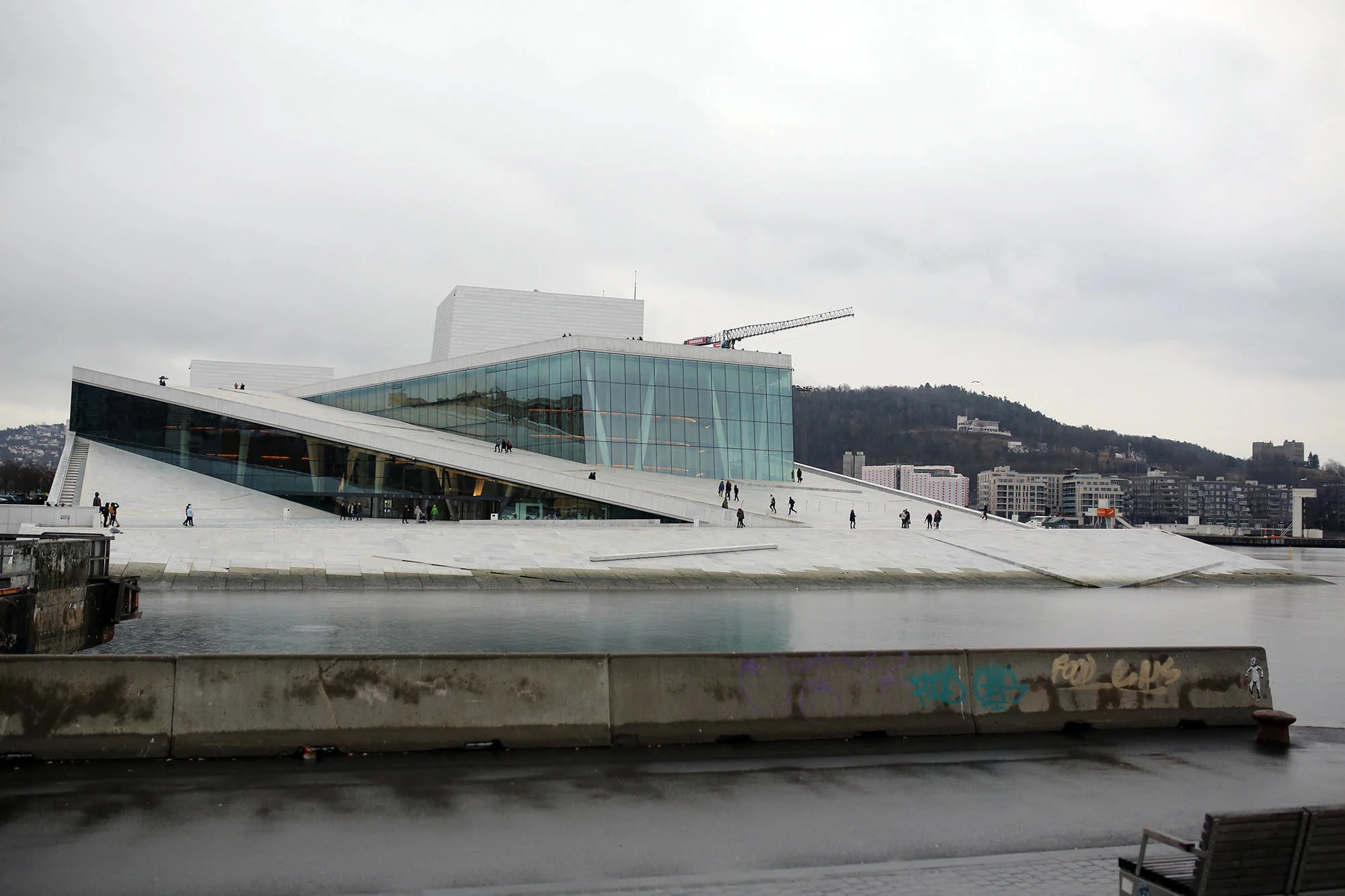 SNH_0597.jpg