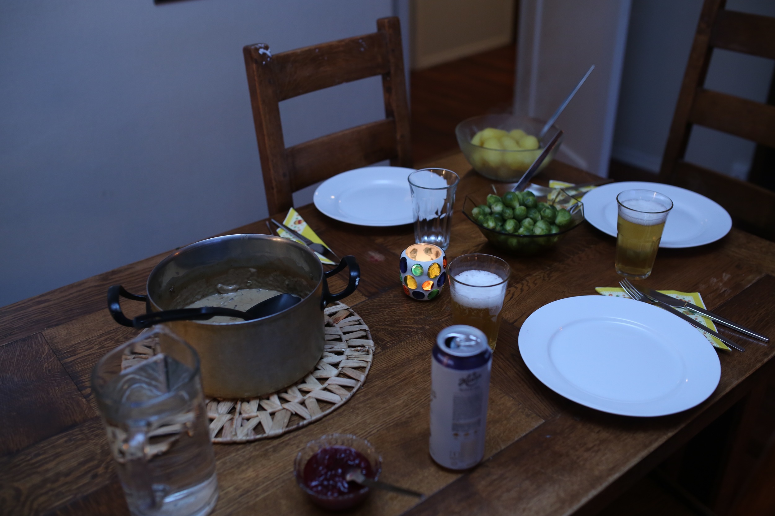 that morning, I had asked our hostess Terese if she could make a traditional Norwegian dish. She went with Reindeer stew, potatoes, brussel sprouts and lingonberry jam. We supplied the beer and dessert! Thank you Terese--it was nice to sit and talk with her. She was so down to earth and friendly. Roey and I really enjoyed talking about politics and culture with her. She was a gem.
