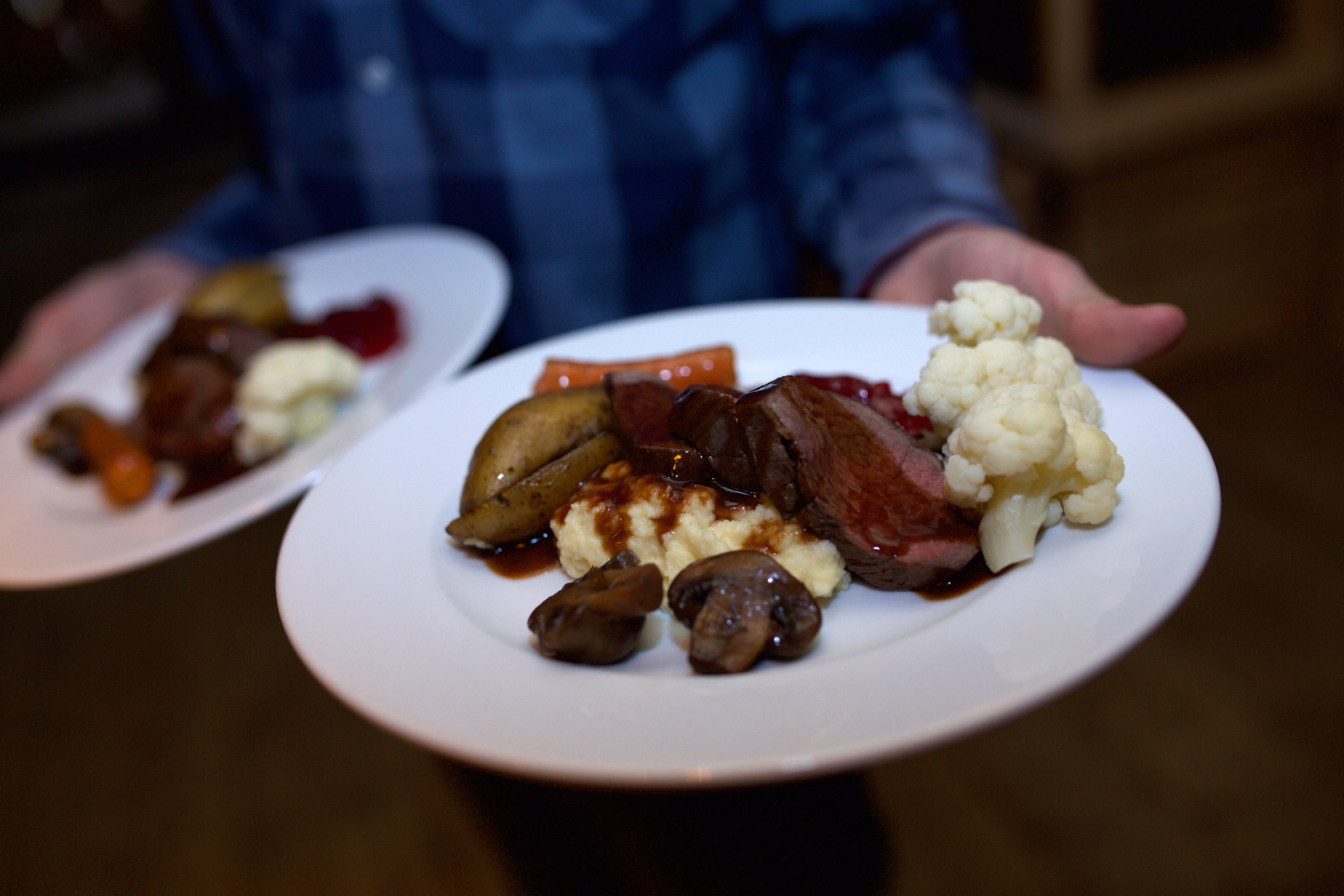 Venison anyone? yes please!
