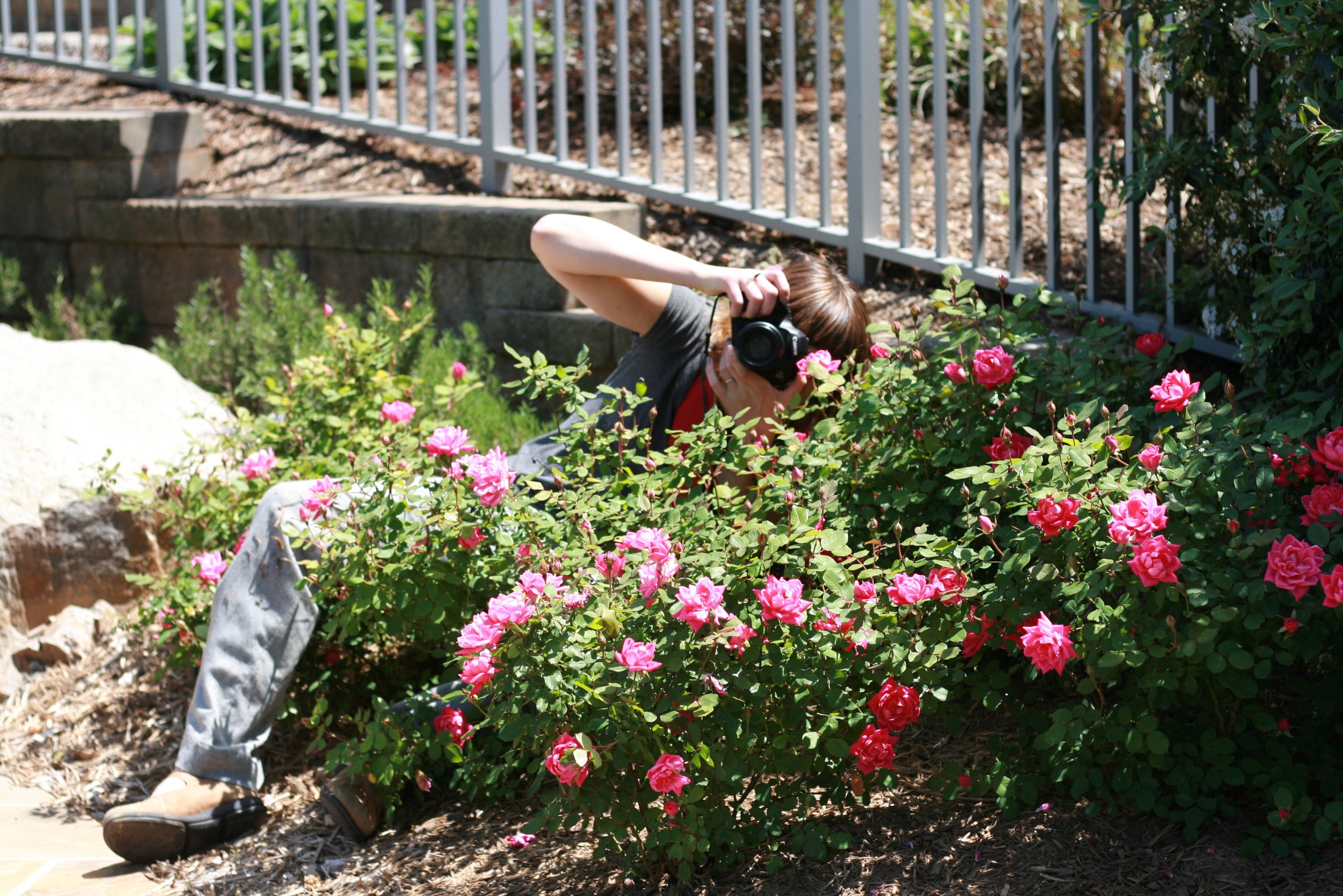 Thanks for capturing me in the rose bush Nicole!