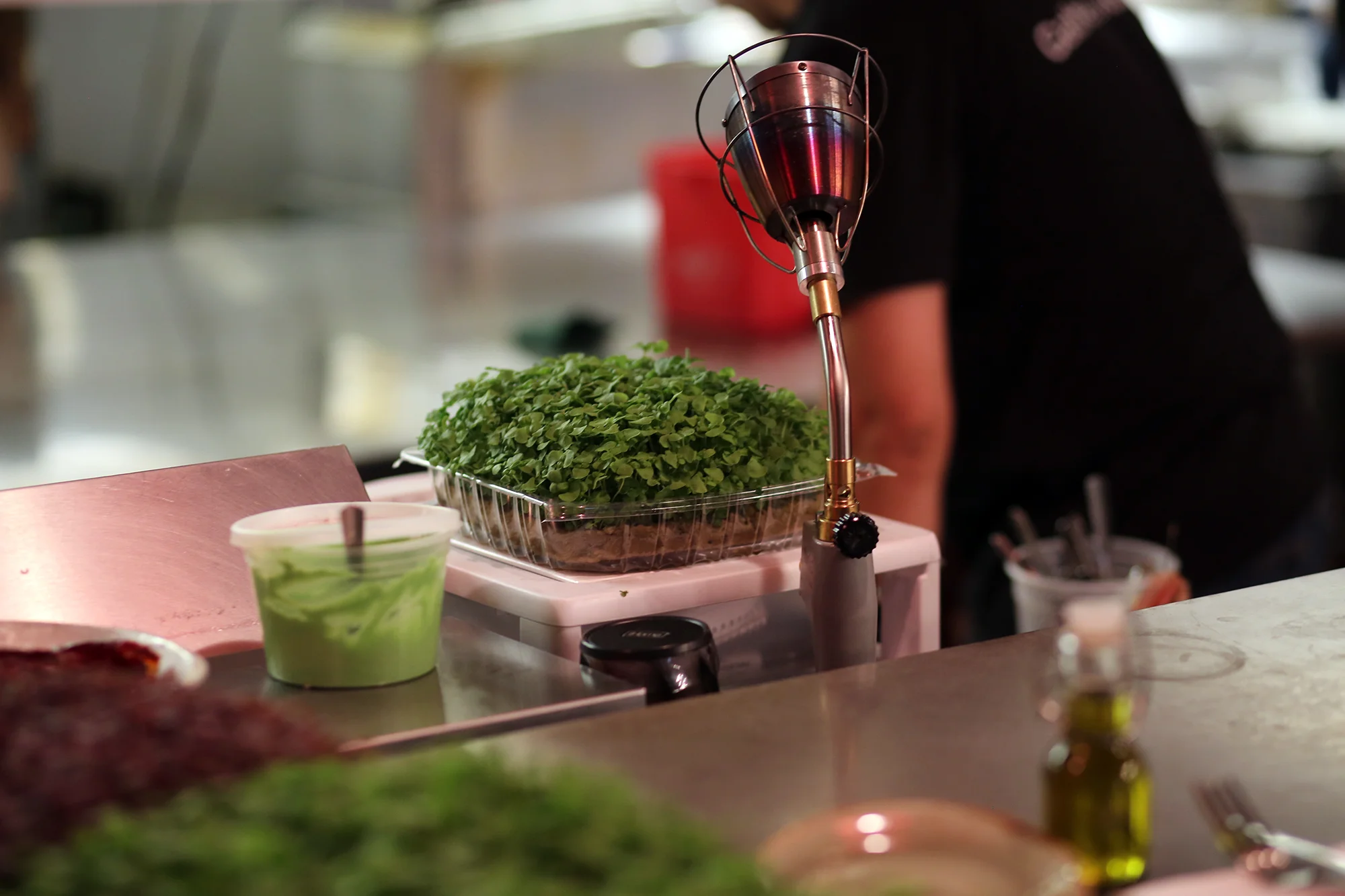 micro greens 