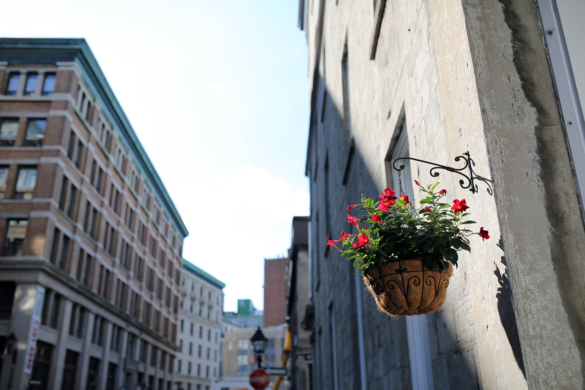 Old town. Just explore.