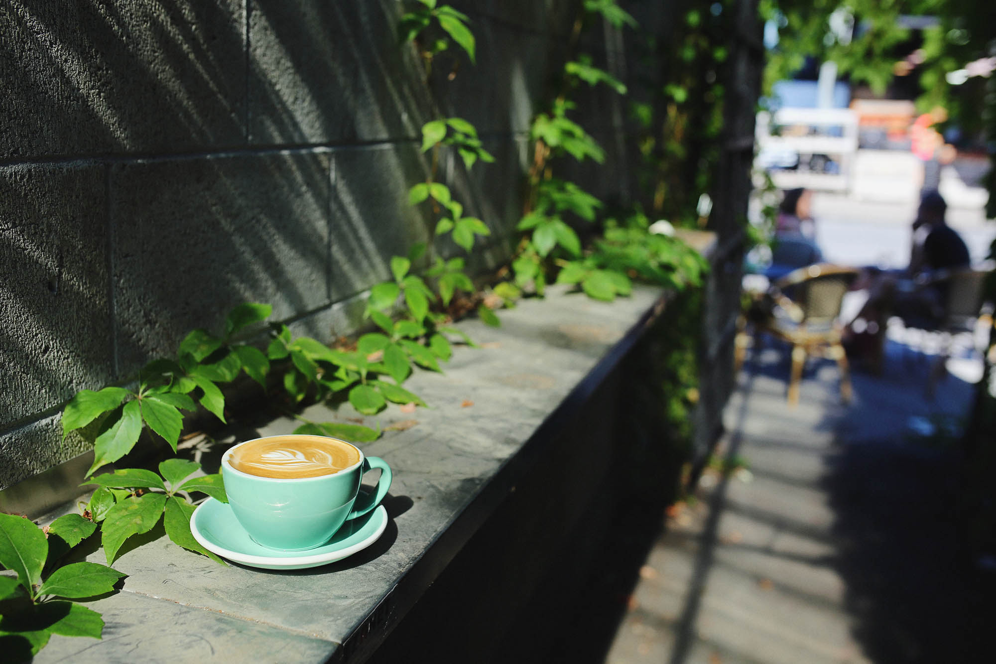 I stuck around the side for an ivy covered coffee break