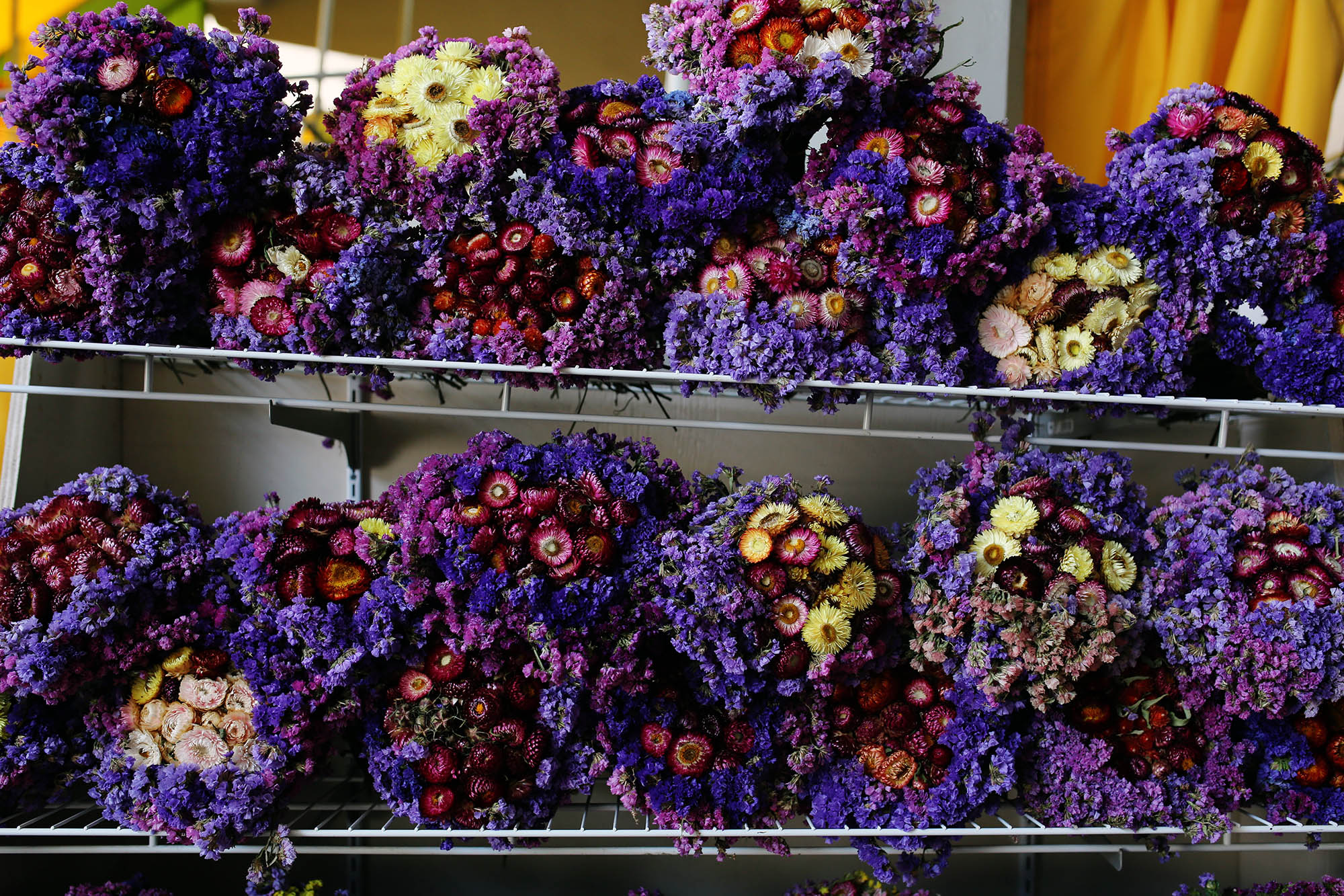 last stop... I drooled over these COLORS. wow. 
