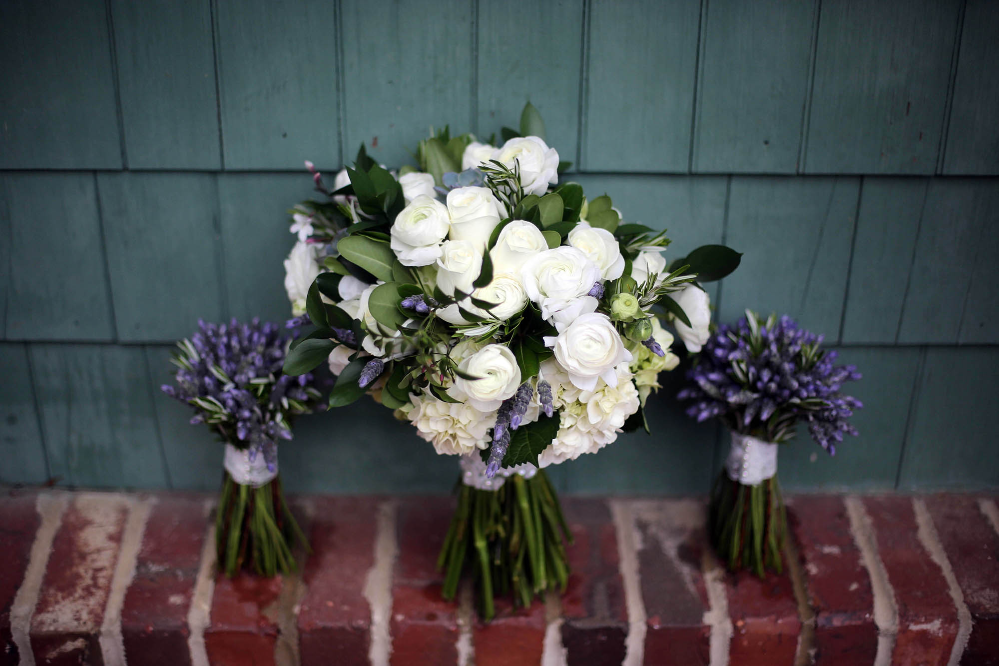 charlotte wedding photographer