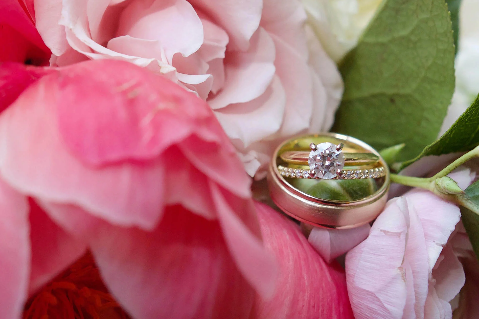 Charlotte-Wedding-Photographer