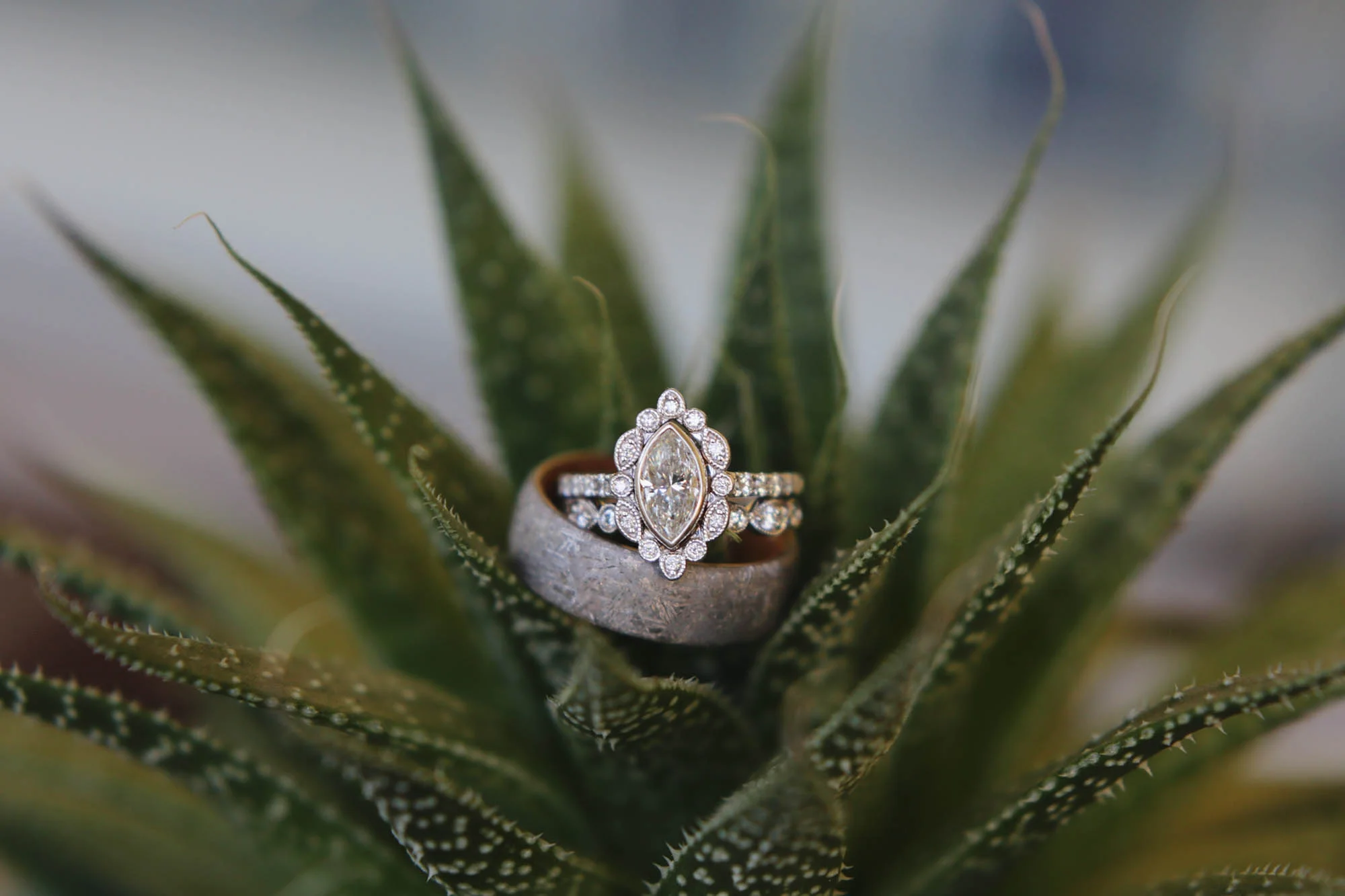 best charlotte photographer wedding photography