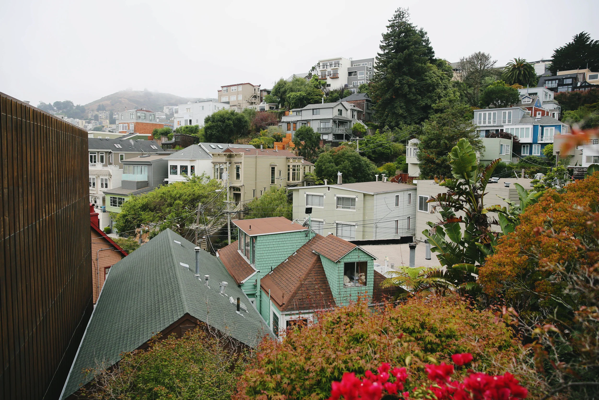 san francisco travel photographer stefanie haviv photography