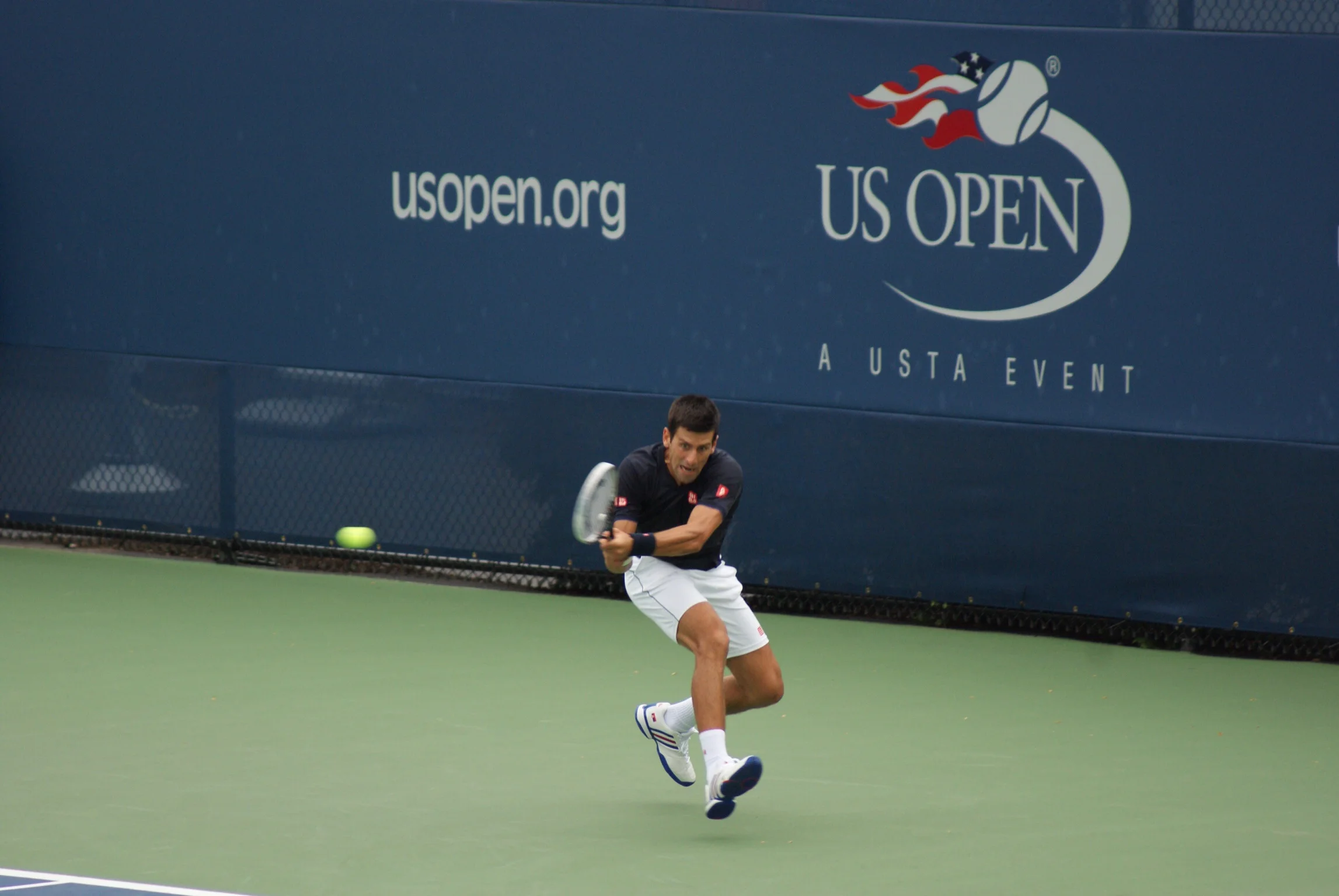 Novak Djokavic