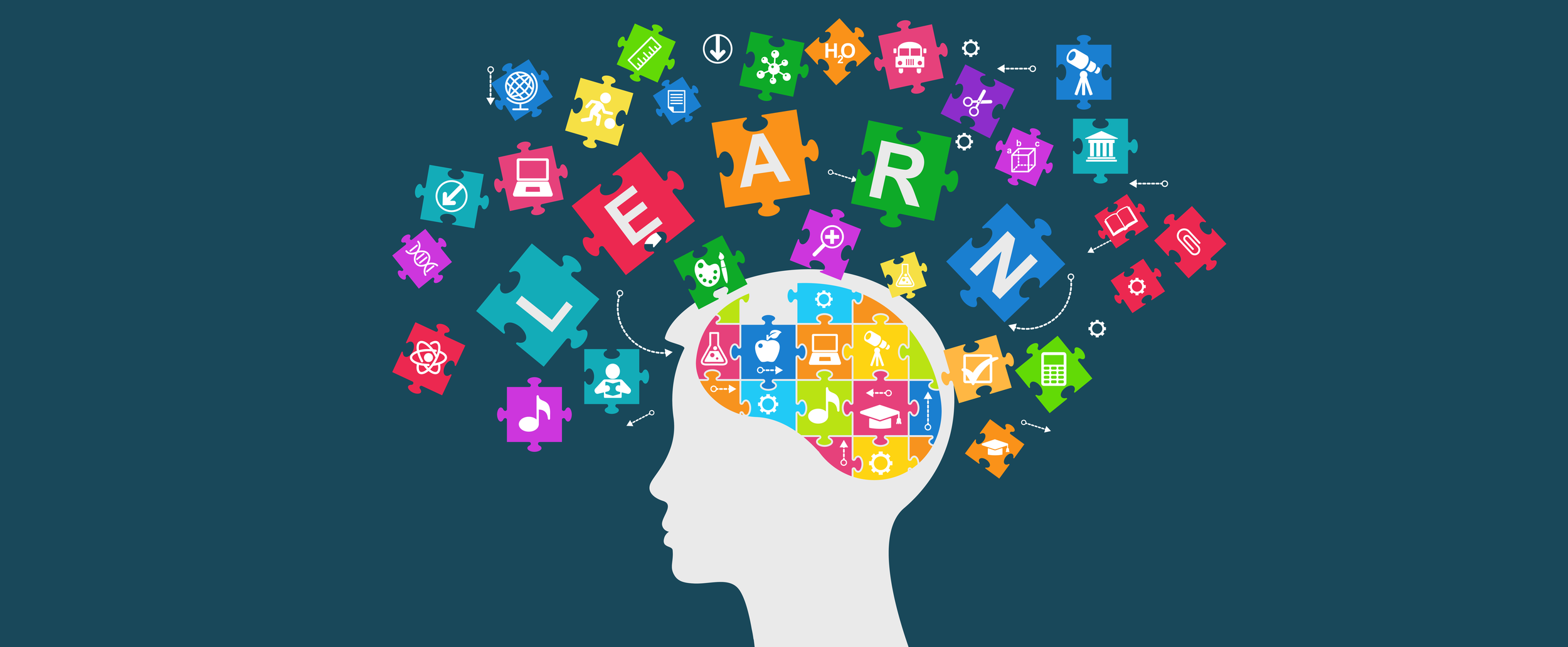 Head_Graphic_Learn-01.png