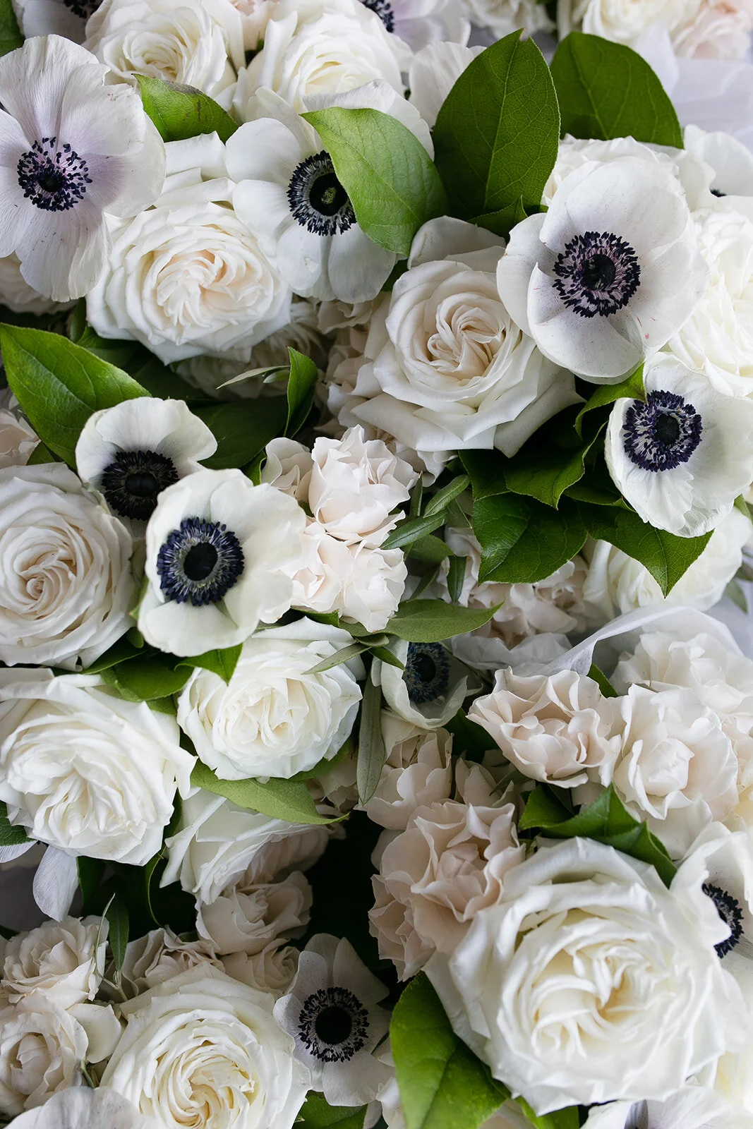 Christina Mark Wedding-EJP-1007.jpg