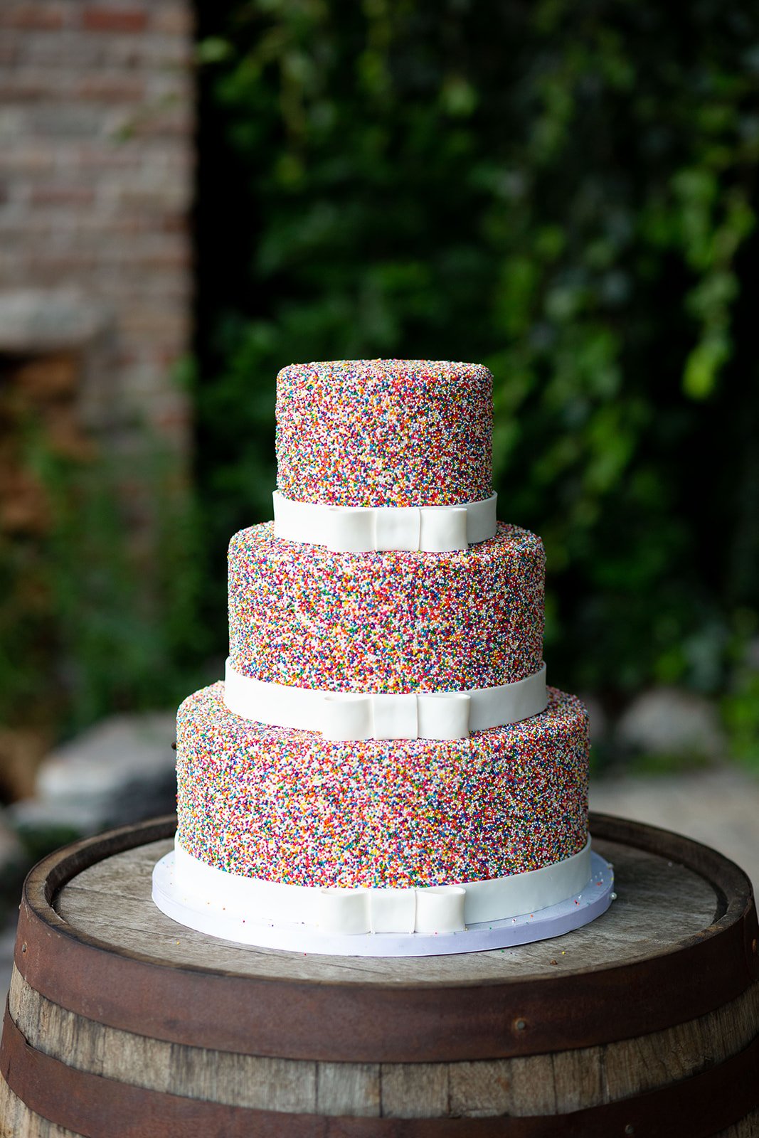 Anne Marie and Gage Wedding - NPP458.jpg