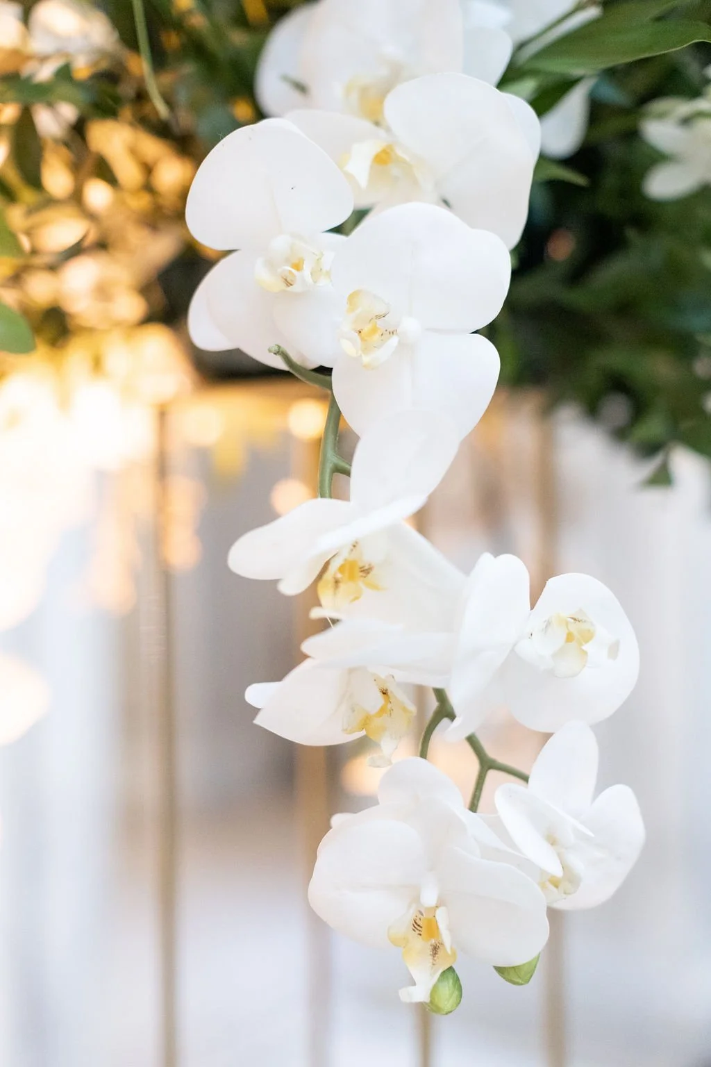 Pam&Scott-57.jpg