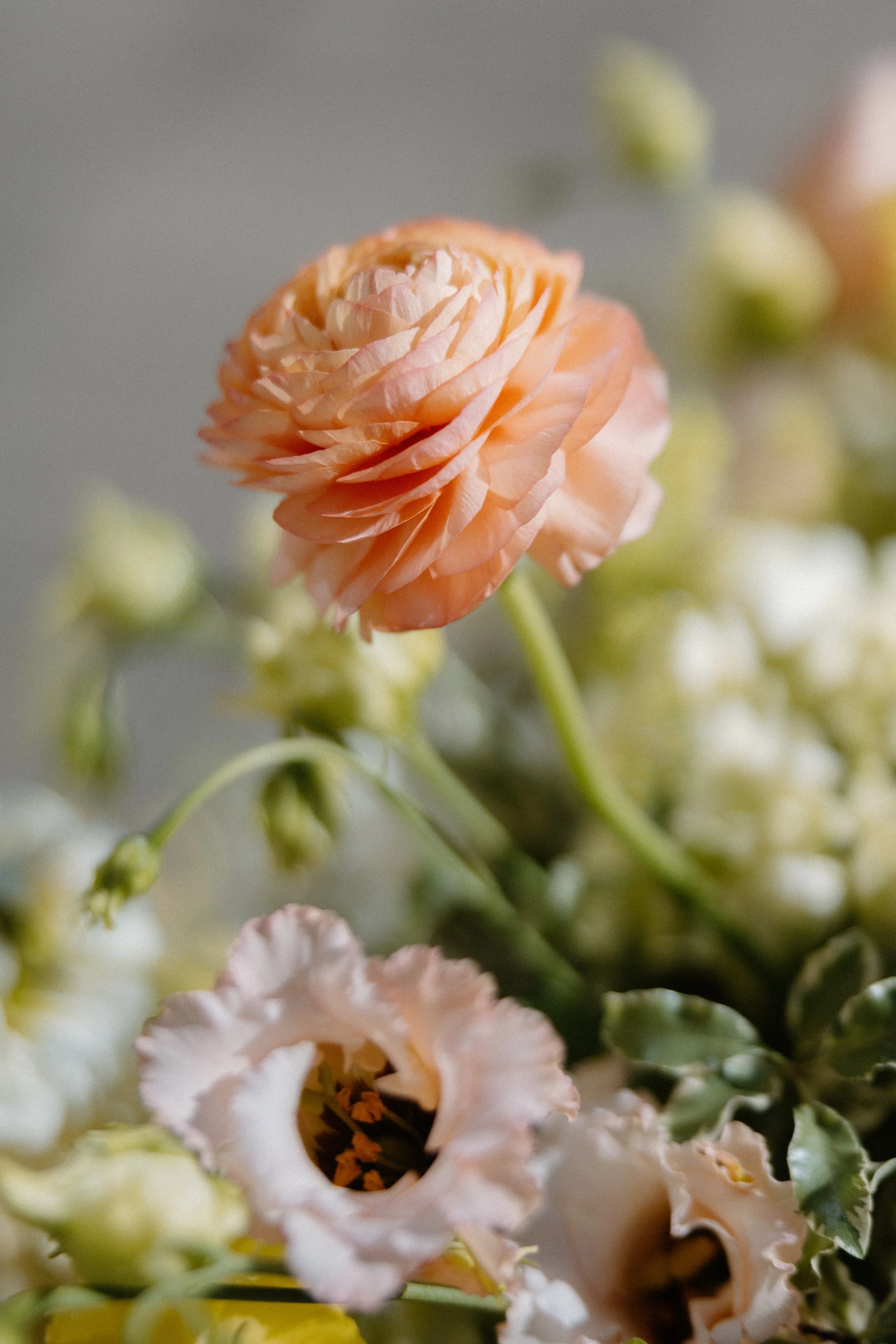 Ed & Aileen Photography_KB-227.jpg