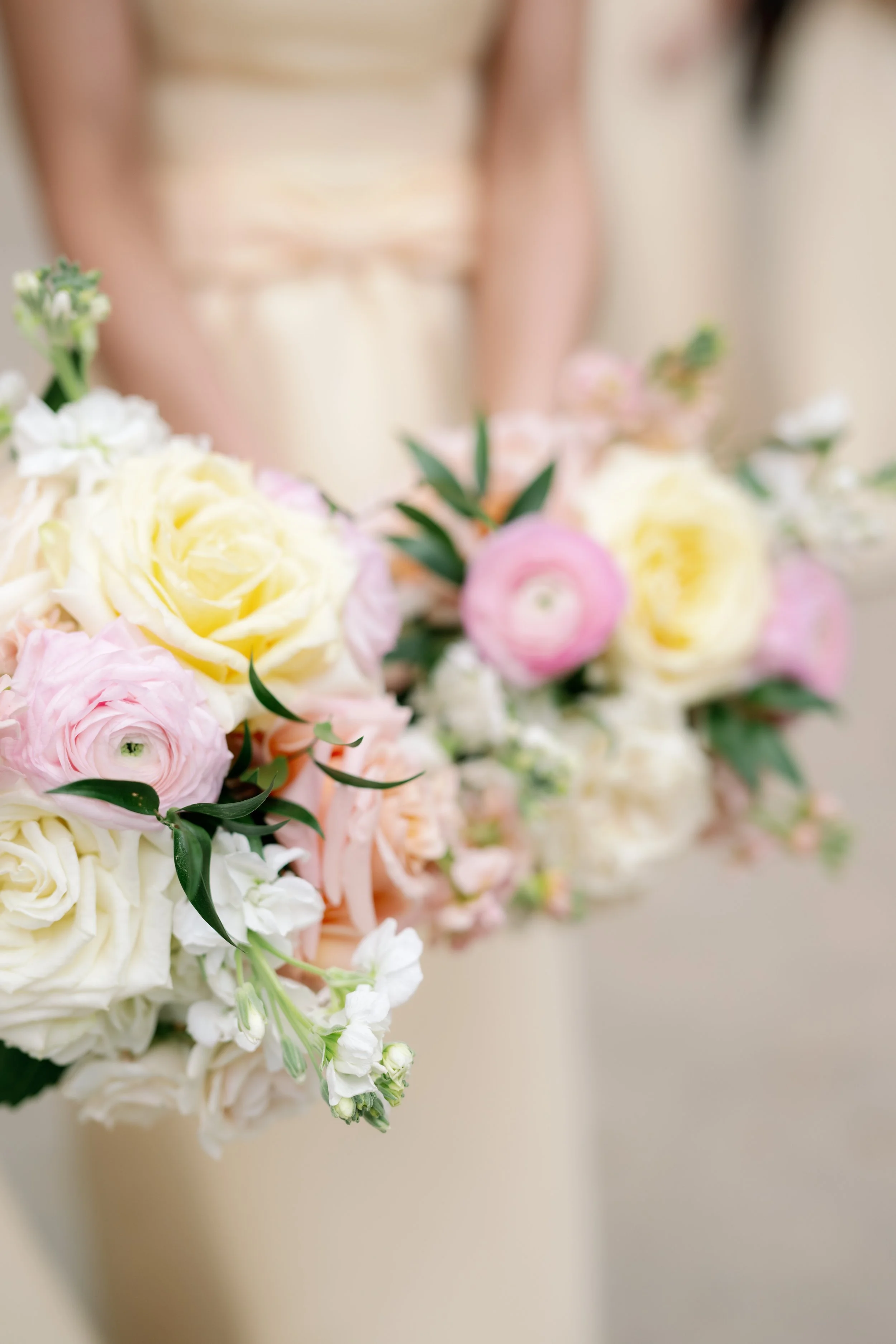 Haley + Alex Preview Gallery-83.jpg