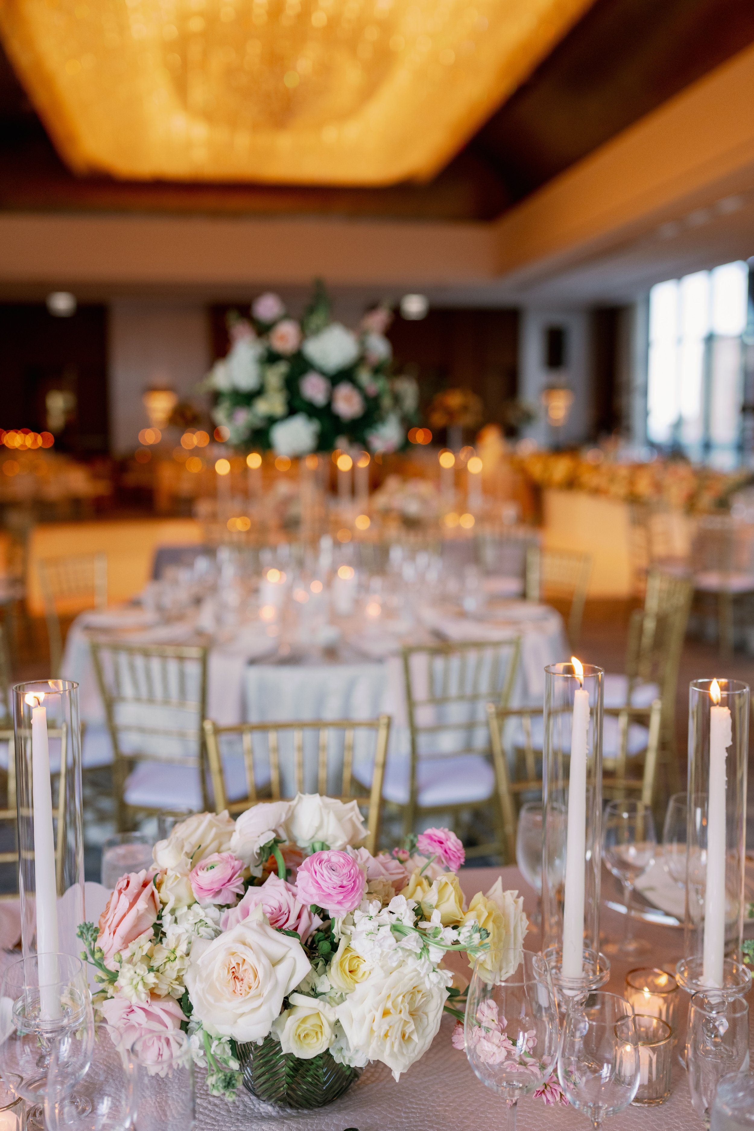 Haley + Alex Preview Gallery-206.jpg