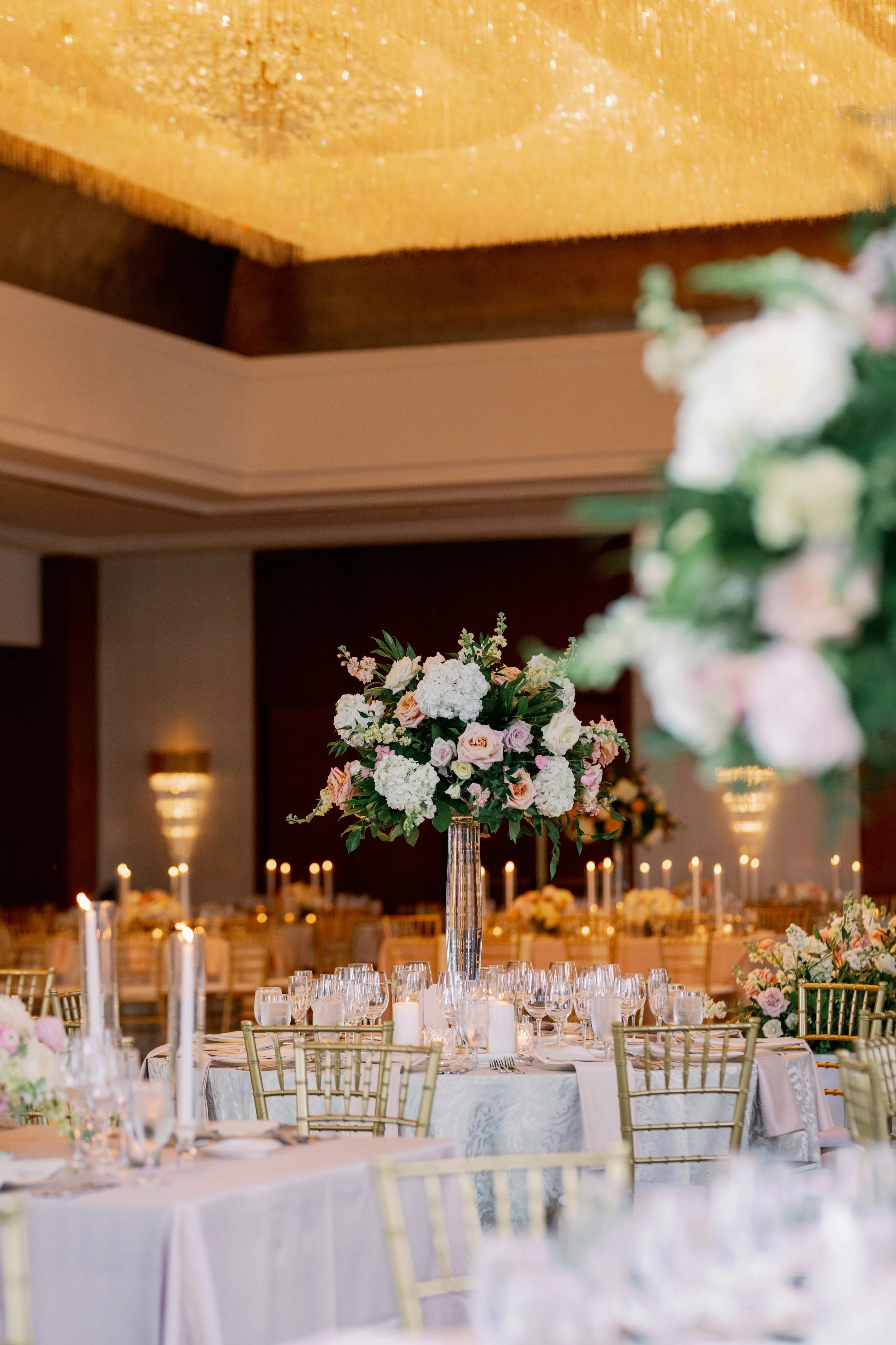Haley + Alex Preview Gallery-212.jpg
