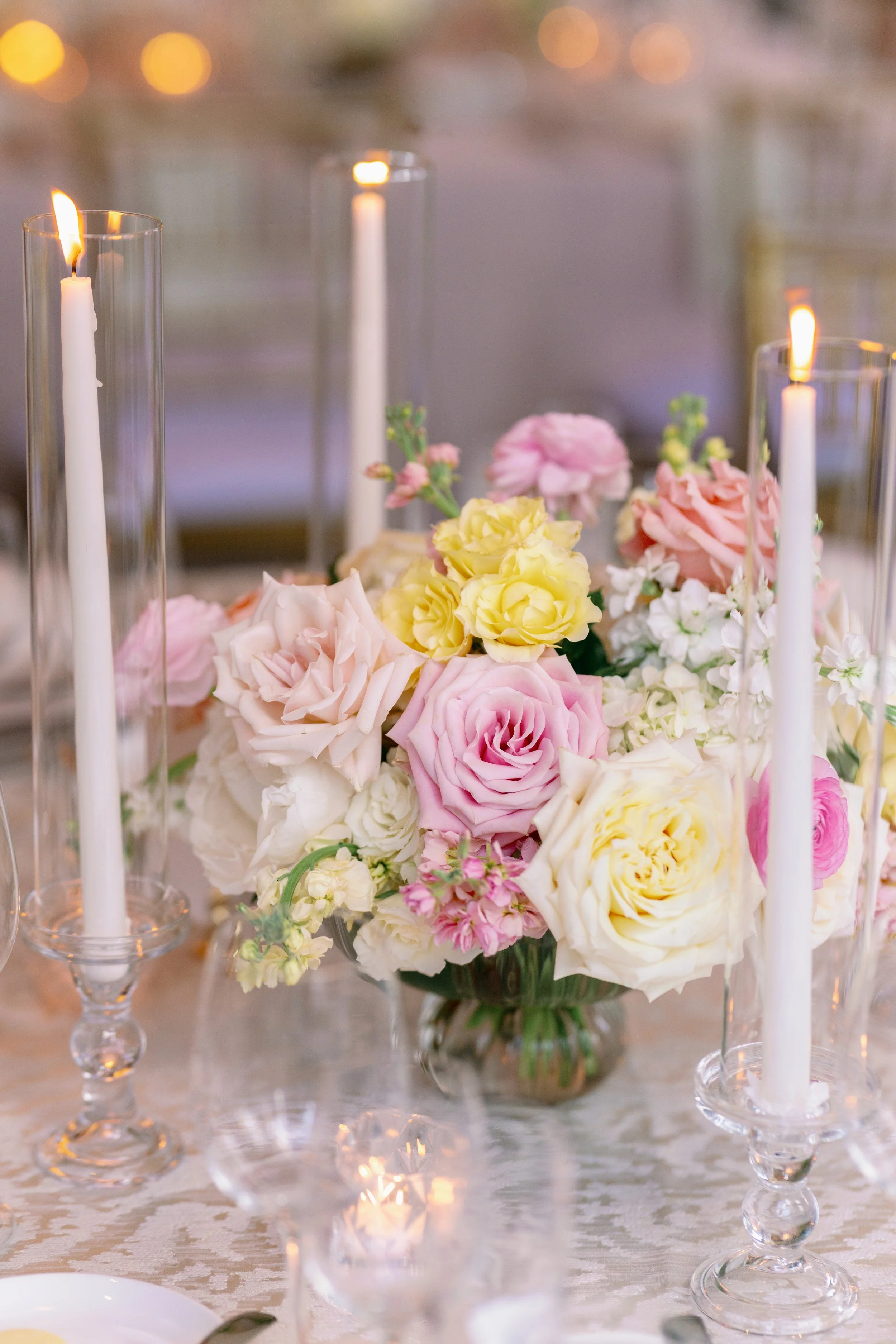 Haley + Alex Preview Gallery-225.jpg