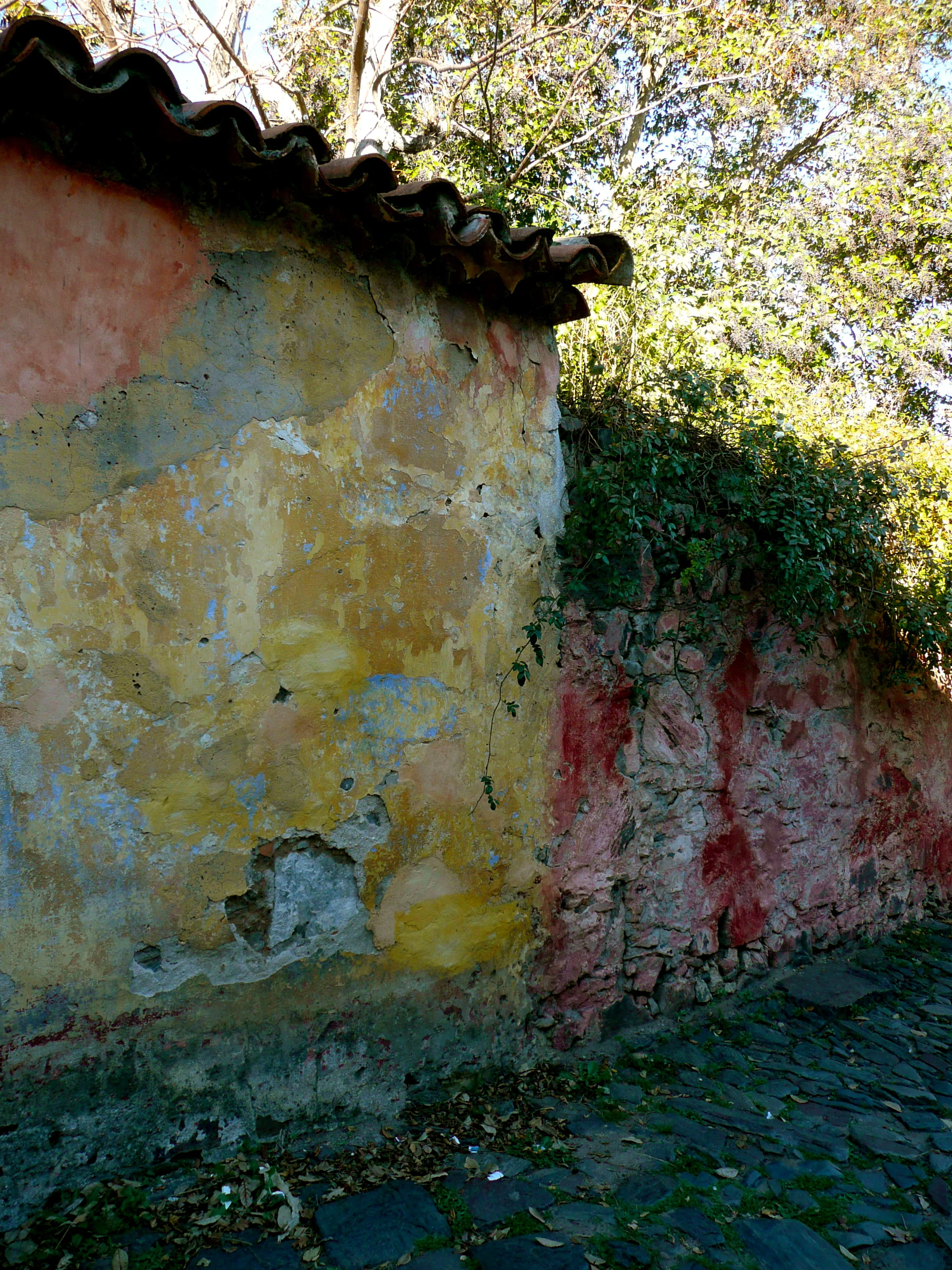 P1180304.jpg