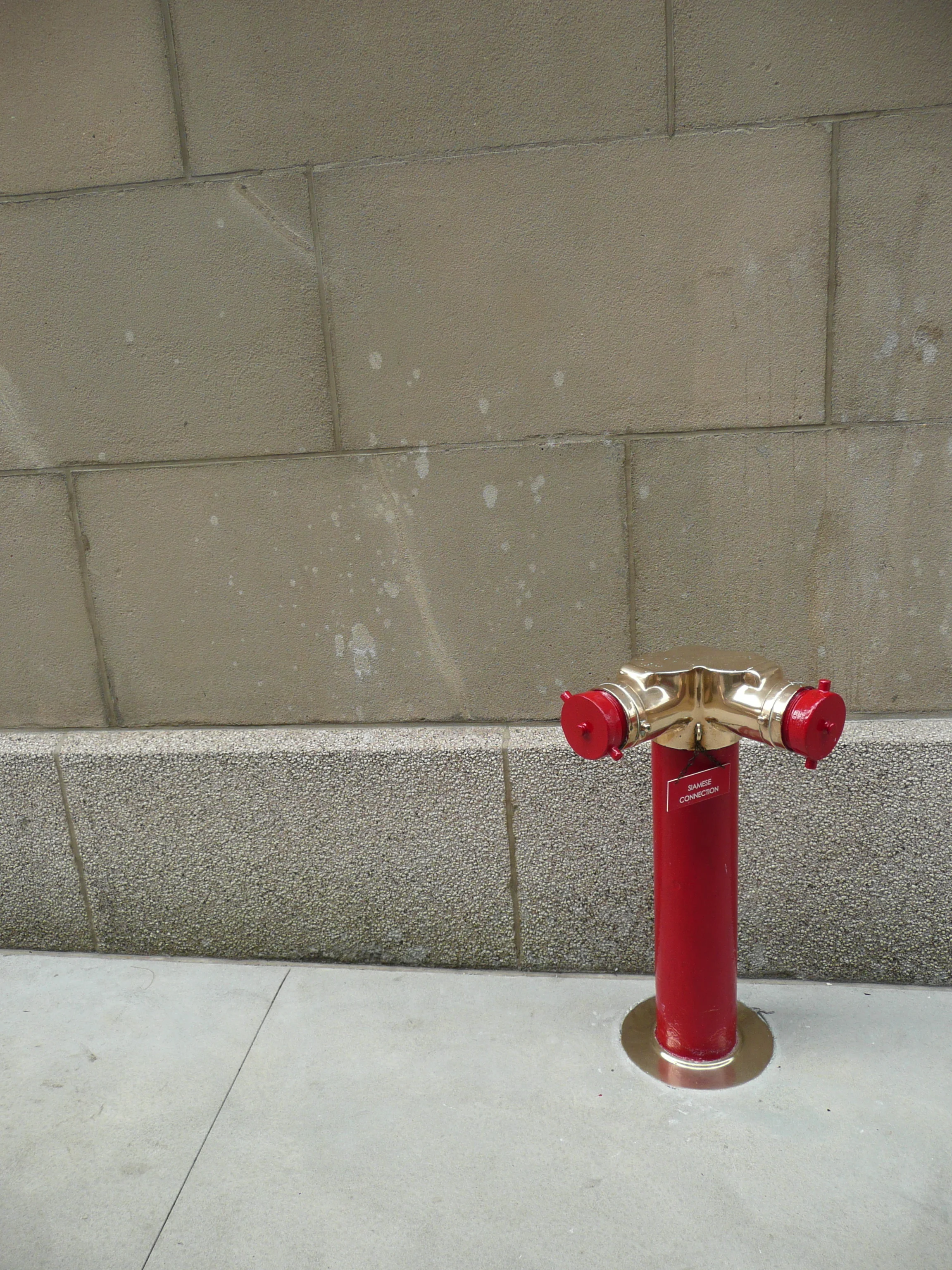P1110986.jpg