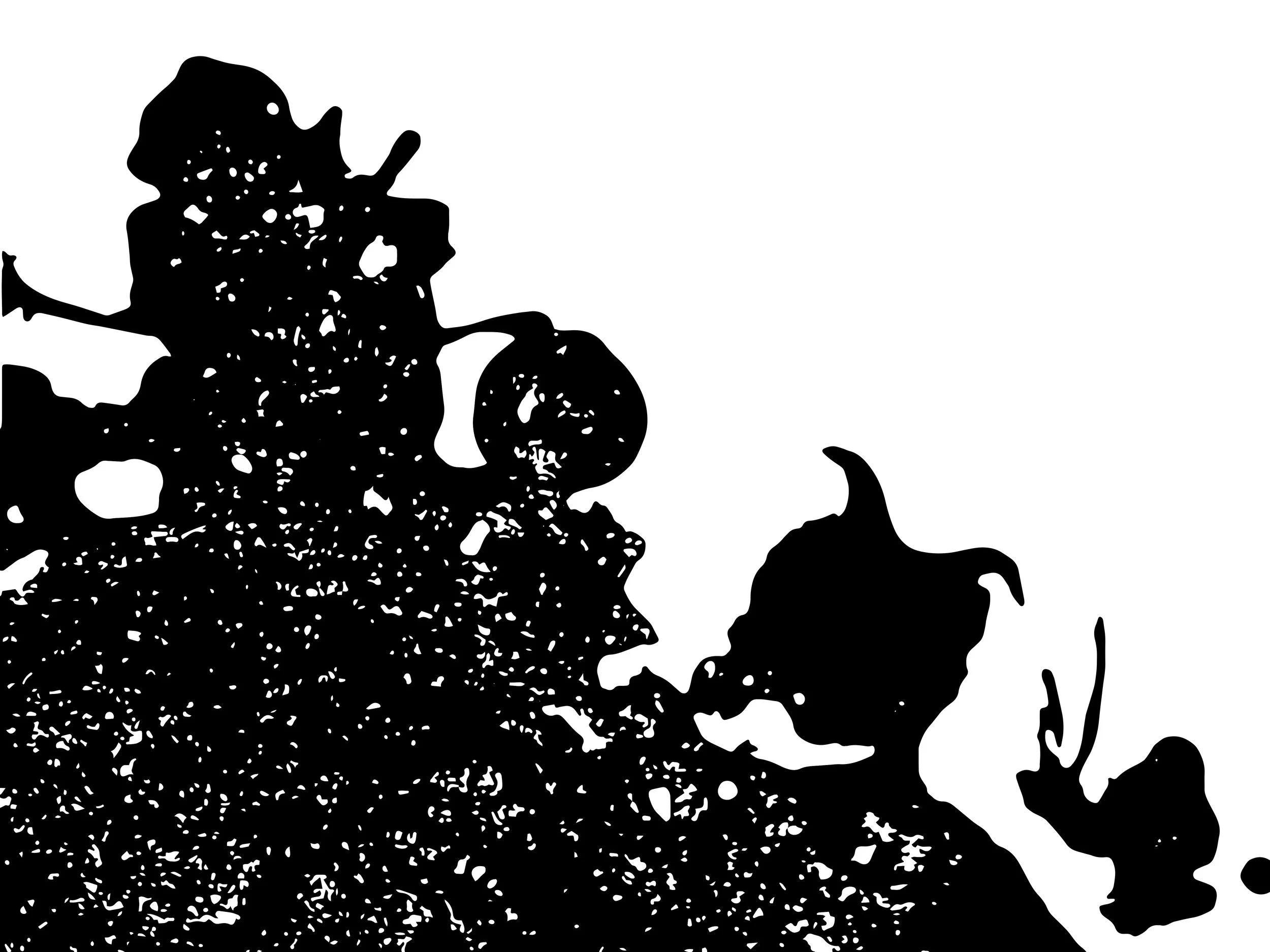 test2.jpg