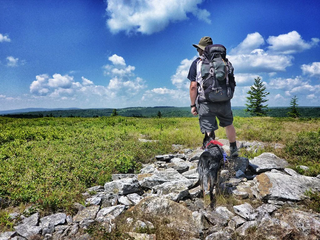 DollySods.jpg