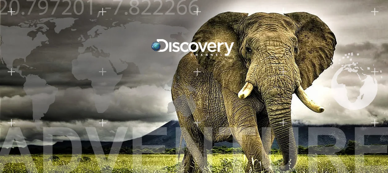 Thumbnail-Discovery.jpg