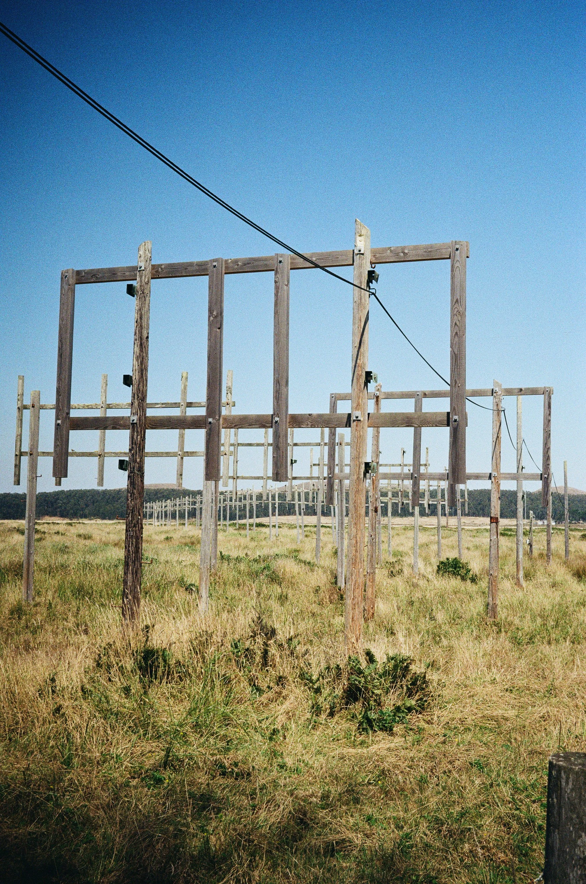Scan-27.JPG
